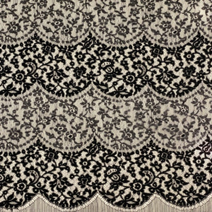 French Lace $310p/metre